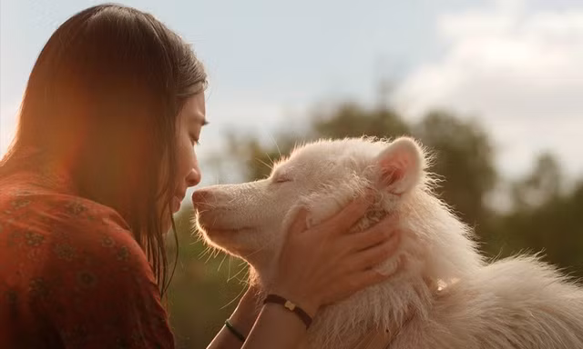 Chú chó Gohan đáng yêu mang đến “cơn mưa nước mắt”, chiếm lĩnh Top 1 phòng vé