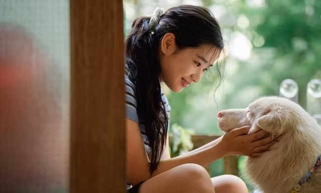 Tạm Biệt Gohan: Một chú chó hoang, 3 cuộc đời và 3 lần chia ly thấm đẫm nước mắt