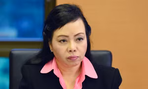 Công ty tư vấn nước ngoài được chọn sau gợi ý của cựu Bộ trưởng Nguyễn Thị Kim Tiến