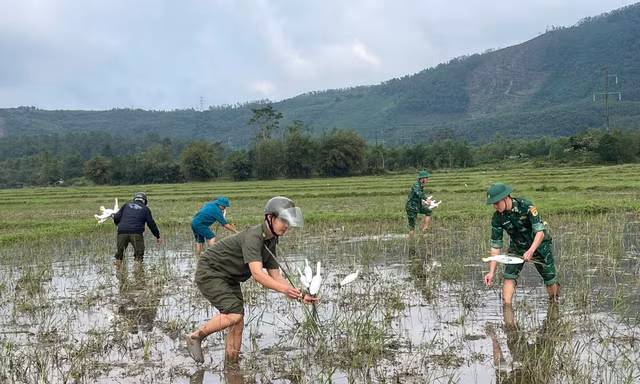 Huế mạnh tay với nạn săn bắt chim trời trái phép