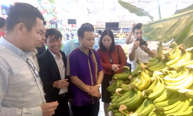 Đổi đời nhờ cây… già lùn