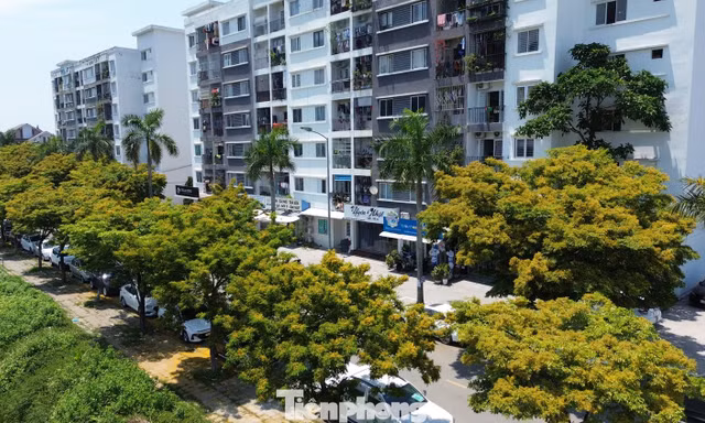 Đi làm xa hơn 20km được mua nhà ở xã hội