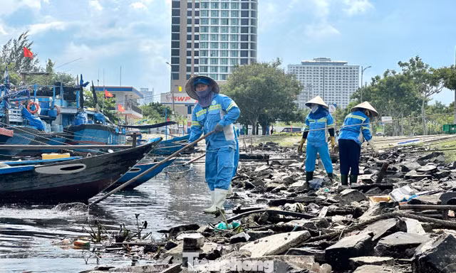  Rác thải ken đặc bãi biển Đà Nẵng sau bão 