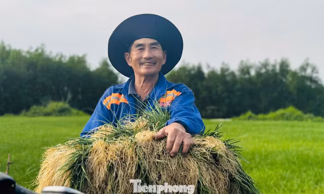 'Thủ phủ' kiệu xứ Quảng rộn ràng vào vụ thu hoạch Tết