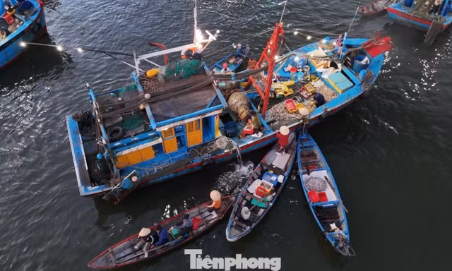 Theo chân ngư dân đến chợ nổi duy nhất ở Quảng Ngãi lúc 4 giờ sáng