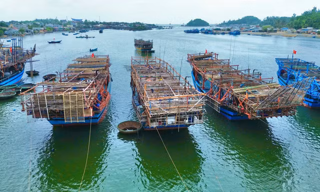 Lý do ngư dân Quảng Ngãi ra cảng cá Đà Nẵng xác nhận nguồn gốc, bốc dỡ hải sản