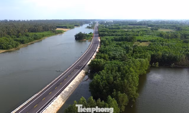 Ngắm cung đường ven biển băng qua rừng dương, cồn cát đẹp bậc nhất Quảng Ngãi