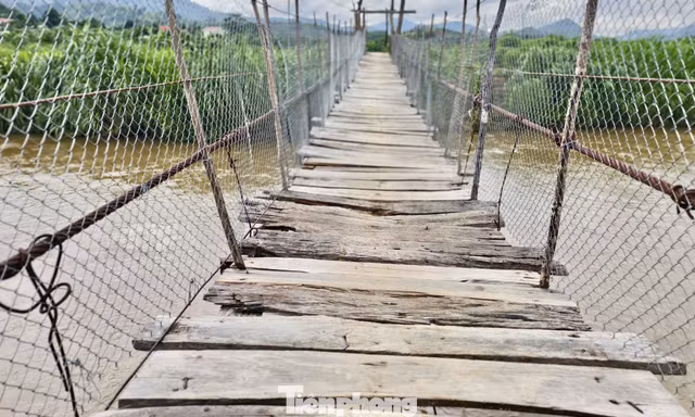 Quảng Ngãi: Loạt cầu treo già cỗi rung bần bật khi có người qua