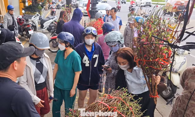Đà Nẵng: Hoa Tết đắt hàng trên 'chợ mạng'