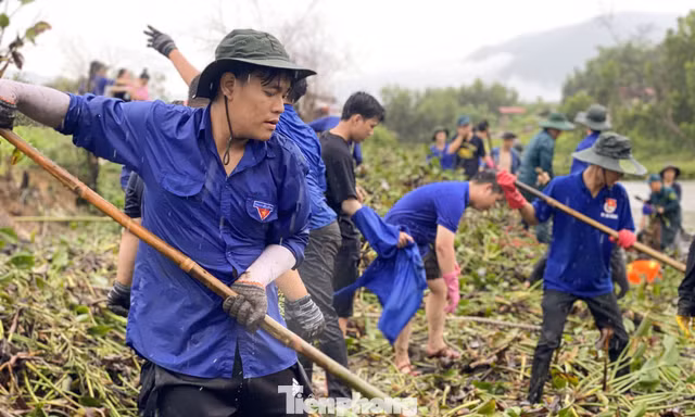 Hơn 509 nghìn lượt đoàn viên, thanh niên Đà Nẵng tình nguyện vì cộng đồng