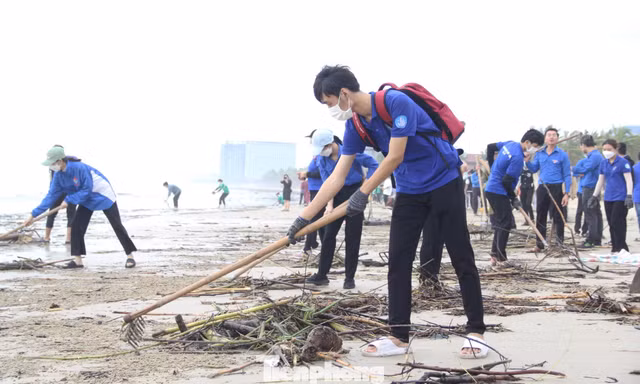Bạn trẻ Đà Nẵng sáng tạo để 'xanh hóa' biển quê hương