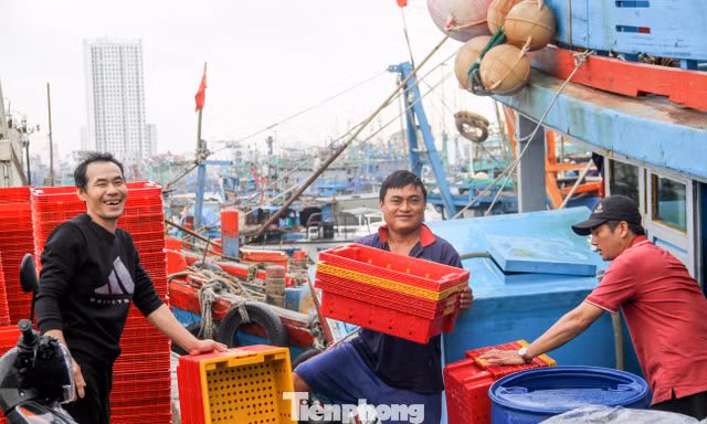 Chuyến biển xuyên năm, ngư dân mong cá tôm đầy khoang