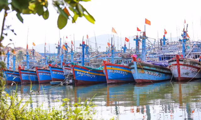 Tàu cá không đủ điều kiện ra khơi, chủ tàu được hỗ trợ 3 triệu đồng/tháng