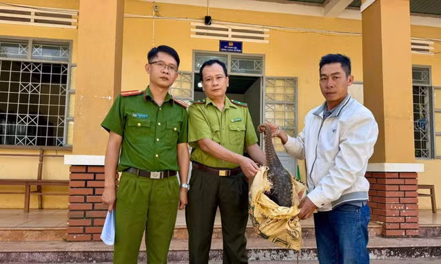 Phát hiện con vật ‘lạ’ trước nhà, người đàn ông ở Gia Lai làm điều bất ngờ
