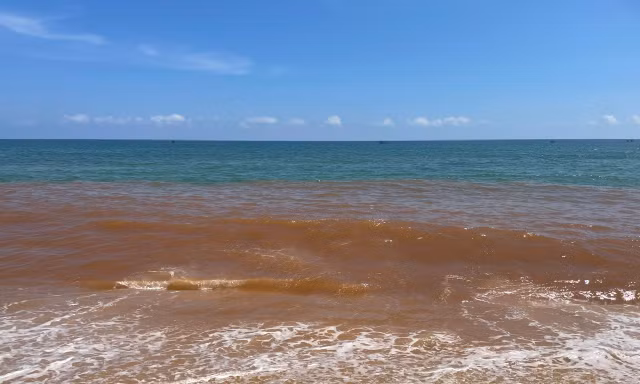 Biển ở Gia Lai xuất hiện dải nước nâu đỏ kéo dài hàng kilomet