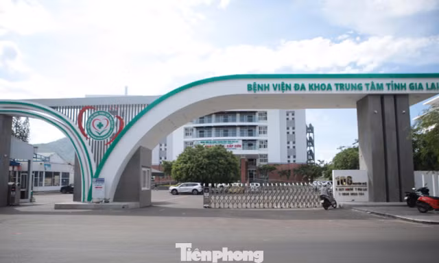 Công ty Việt Mỹ trúng những gói thầu nào tại Gia Lai?