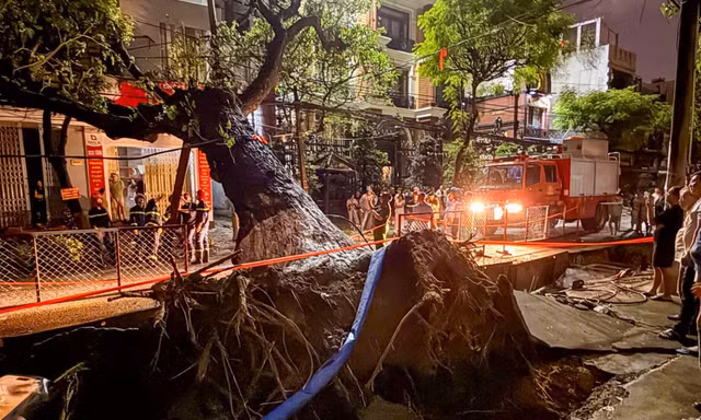 Đà Nẵng: Cây lớn bật gốc đổ ngang đường, gây mất điện nhiều hộ dân