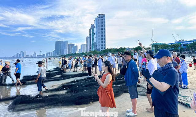 Du khách thích thú xem ngư dân kéo cá trên biển Đà Nẵng