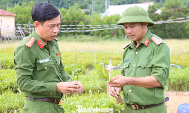 Người ‘giữ lửa’ giáo dục và rèn luyện học sinh lầm lỗi ở Trường Giáo dưỡng số 3