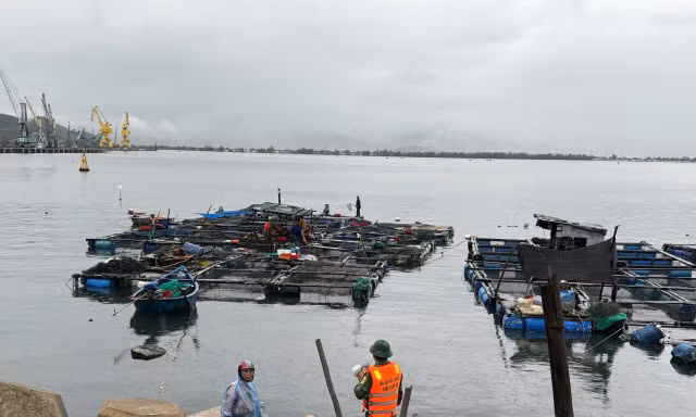 Yêu cầu người dân không ở lại trên các lồng bè khi có bão để tránh gặp nguy hiểm. 
