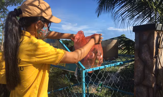 Từ lon nhựa tới heo giống: Mô hình 'vàng hóa rác thải' ở Thăng An