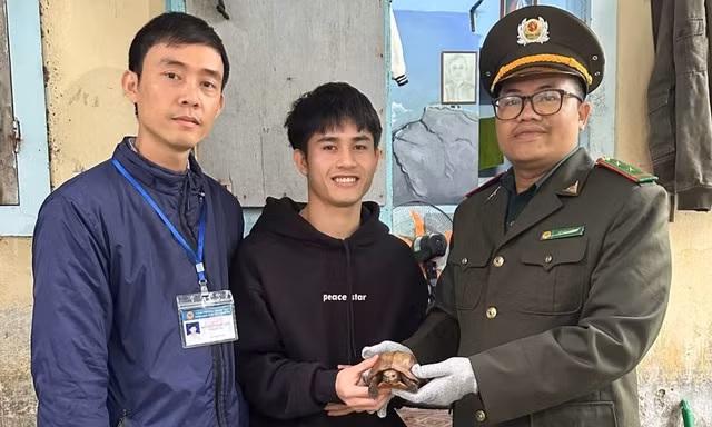 Con vật lạ bò vào phòng trọ, nam sinh báo kiểm lâm mới biết là loài quý hiếm