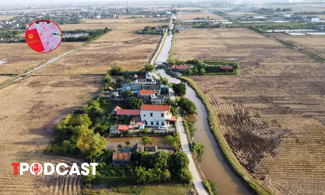 Chuyển đất lúa sang đất ở, có cần đánh giá môi trường?