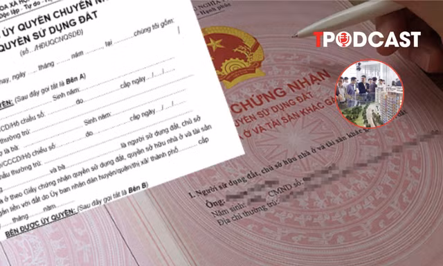 Khai gian giá nhà đất, nguy cơ bị truy thu, xử lý hình sự