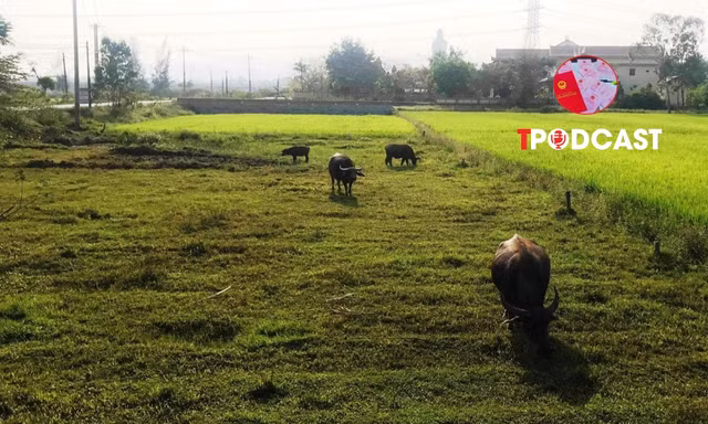 Bãi bỏ quy định dành 10% nguồn thu đất đai cho đo đạc và cấp giấy chứng nhận