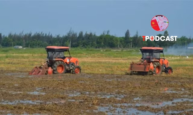 Có được thế chấp quyền sử dụng đất thuê trả tiền hằng năm?