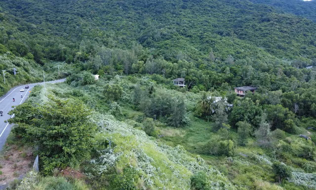 Một resort ở Đà Nẵng vi phạm an toàn thực phẩm