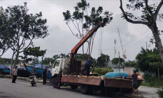 Trước giờ bão số 12 áp sát, ngư dân Đà Nẵng tất bật đưa tàu thuyền lên bờ trú tránh