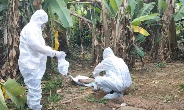 Chó nghi mắc bệnh dại cắn 6 người tại Quảng Ngãi
