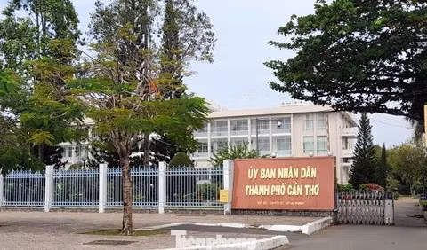 Đề xuất lập Tổ tư vấn chính sách của Chủ tịch TP. Cần Thơ