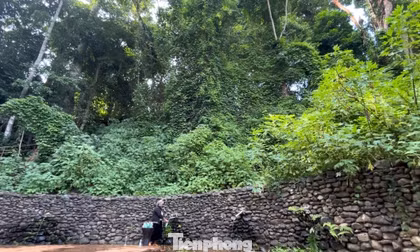 Bến nước tự nhiên hơn 2.000 m2 hiếm có ở Buôn Hồ