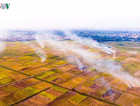 Khói đốt rơm rạ bủa vây ngoại ô Hà Nội