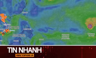 TIN NHANH: Siêu bão Dolphin có vào Biển Đông những ngày tới?