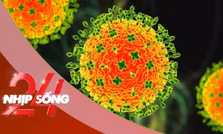 NHỊP SỐNG 24: Virus Nipah có thật sự đáng sợ - chuyên gia phân tích điều quan trọng nhất