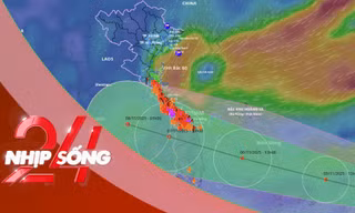 NHỊP SỐNG 24: Bão số 13 sẽ đổ bộ khu vực nào trên đất liền nước ta?