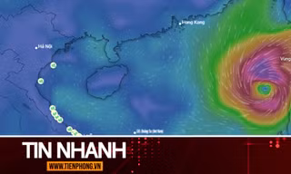 TIN NHANH: Bão Bualoi vừa tan đã xuất hiện 'mầm mống' bão số 11, miền Bắc lại sắp mưa lớn