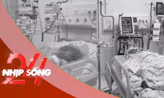NHỊP SỐNG 24: Thông tin mới vụ cha tạt xăng đốt vợ và 2 con