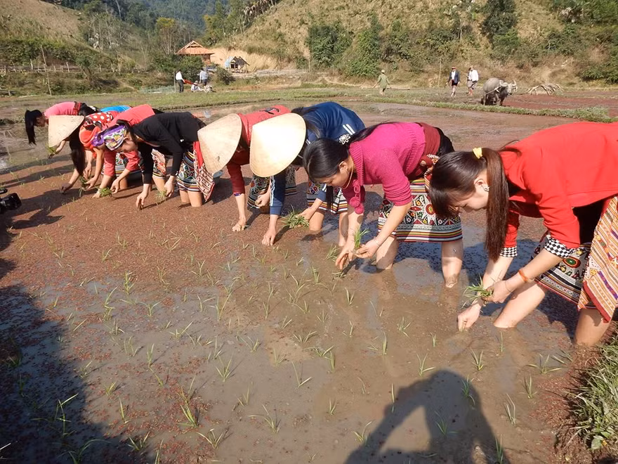 Bà con xuống đồng chuẩn bị một vụ mùa mới mưa thuận gió hòa, bội thu.