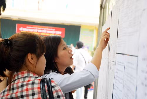 Thí sinh xem điểm thi đại học. Ảnh minh họa