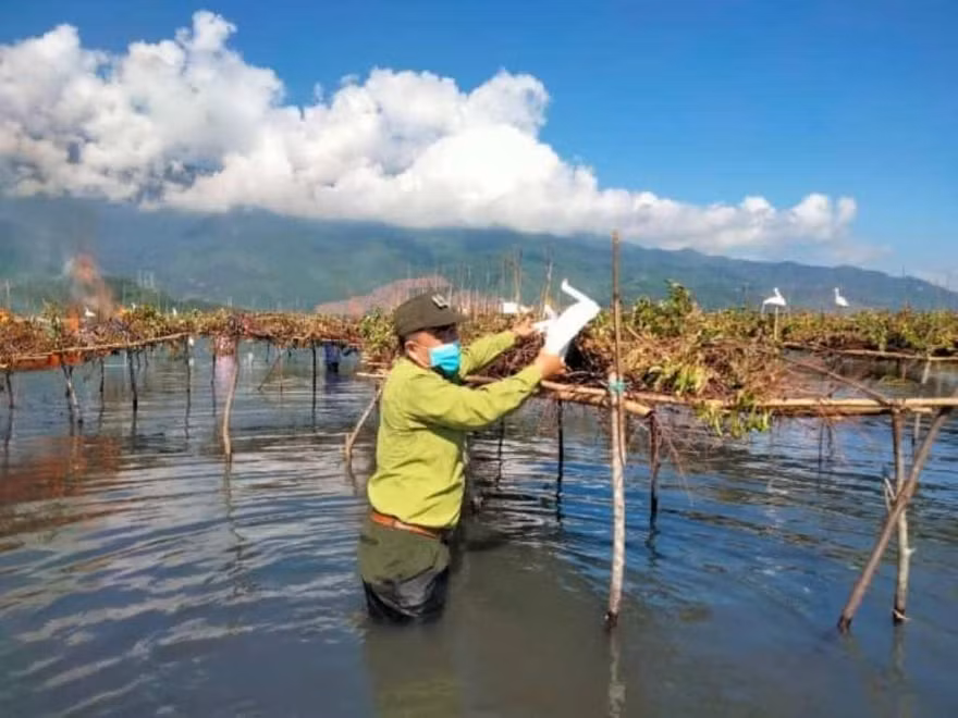 Cán bộ kiểm lâm tại TT-Huế tổ chức thu gom và tiêu hủy các dụng cụ dùng bẫy bắt các loài chim hoang dã