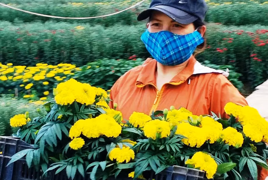 Người dân Huế có một năm bội thu hoa