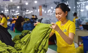 Vì sao doanh nghiệp Việt loay hoay ở giá trị thấp?