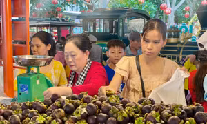 TPHCM vào mùa lễ hội trái cây
