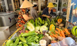 Hà Nội: Giá rau xanh có loại 180.000 đồng/kg, tôm hùm chỉ 200.000 đồng/kg 