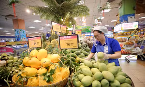 Tiêu dùng xanh lên ngôi