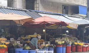 'Vựa hoa tươi' lớn nhất TPHCM trước thềm 20/10